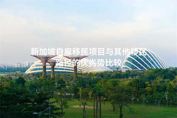 新加坡自雇移民与其他移民路径的优劣势比较