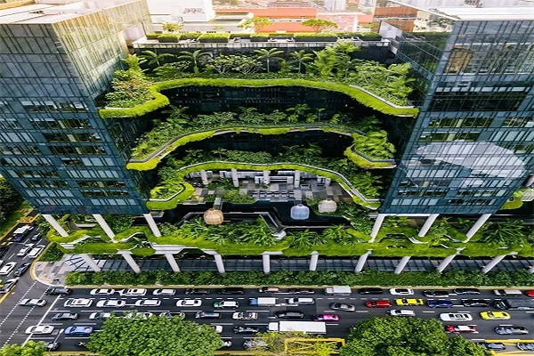 新加坡移民者需要具备什么样的教育背景